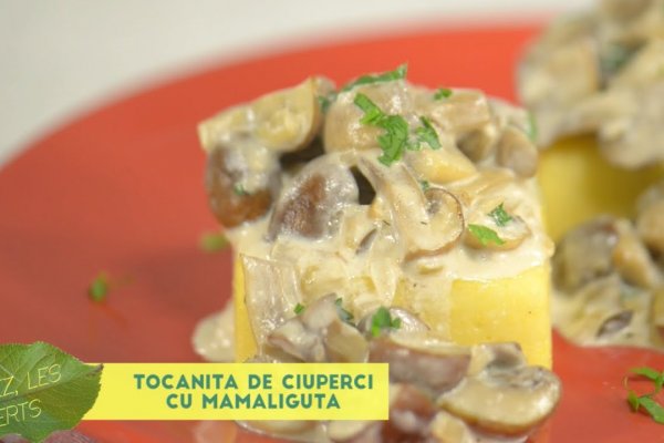 Tocanita de Ciuperci cu Mamaliga - Reteta video
