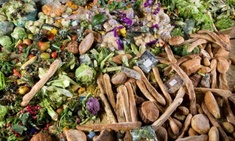 Risipa de mancare ar putea deveni ilegala in Romania