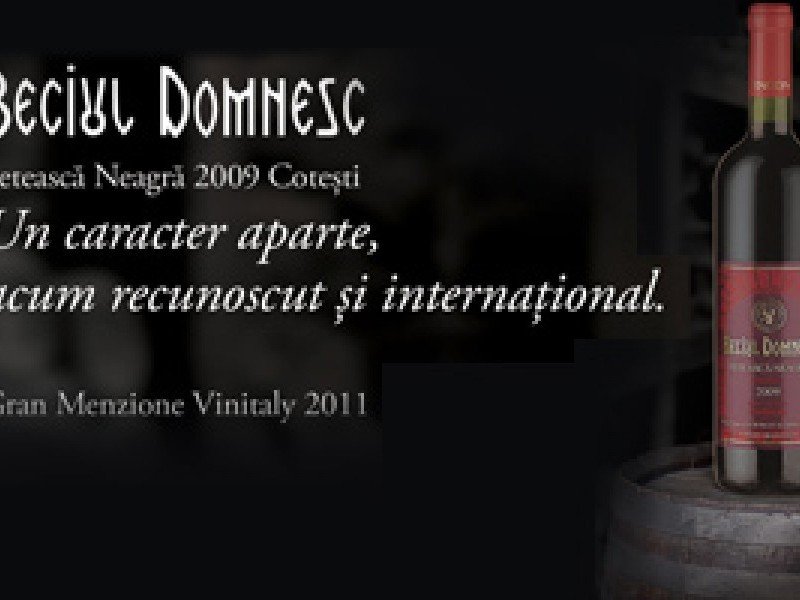 Trei vinuri Vincon premiate la Vinitaly 2011