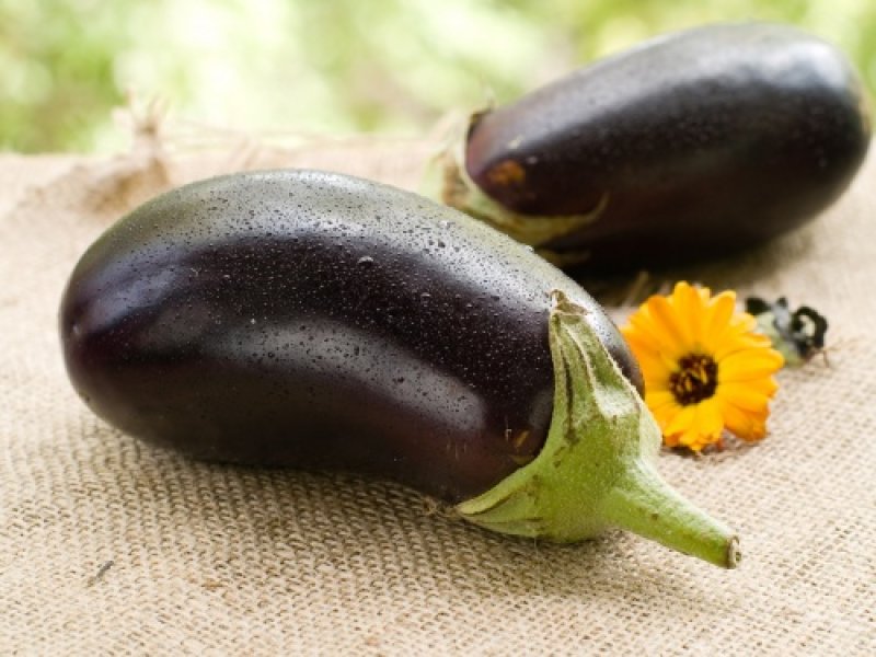 Vinetele - izvor de vitamine