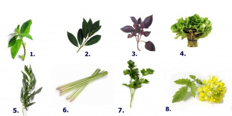 Ghiceste condimentele si castiga o carte de bucate