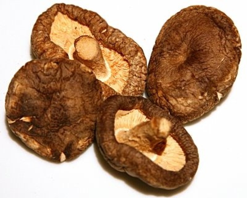 Ciuperca shiitake