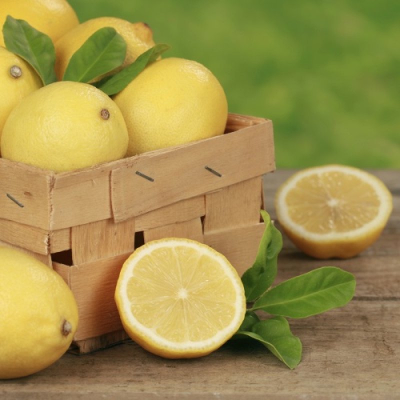 Secretele lamaii – 14 intrebuintari mai putin cunoscute