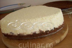 Tort Silvia