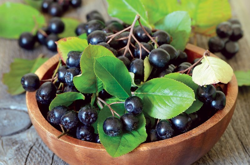 Ce este Aronia, superfructul antioxidant numit si Hrana Cosmonautilor