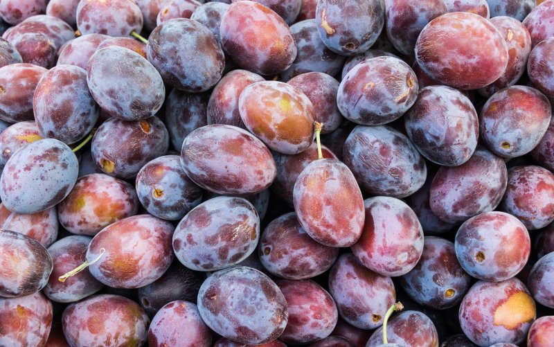 Mancaruri delicioase pe care le gatesti cu prune - cele mai bune 10 retete