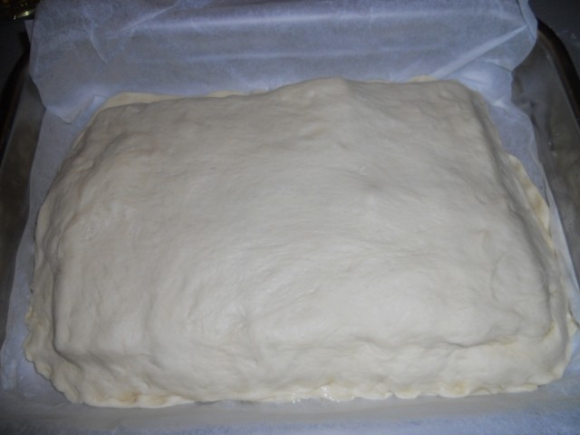 Foccacia cu vinete si mozzarella