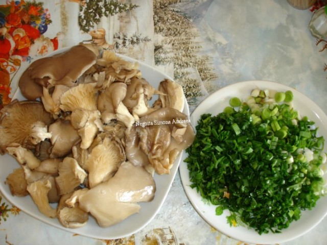 Tocanita de ciuperci pleurotus