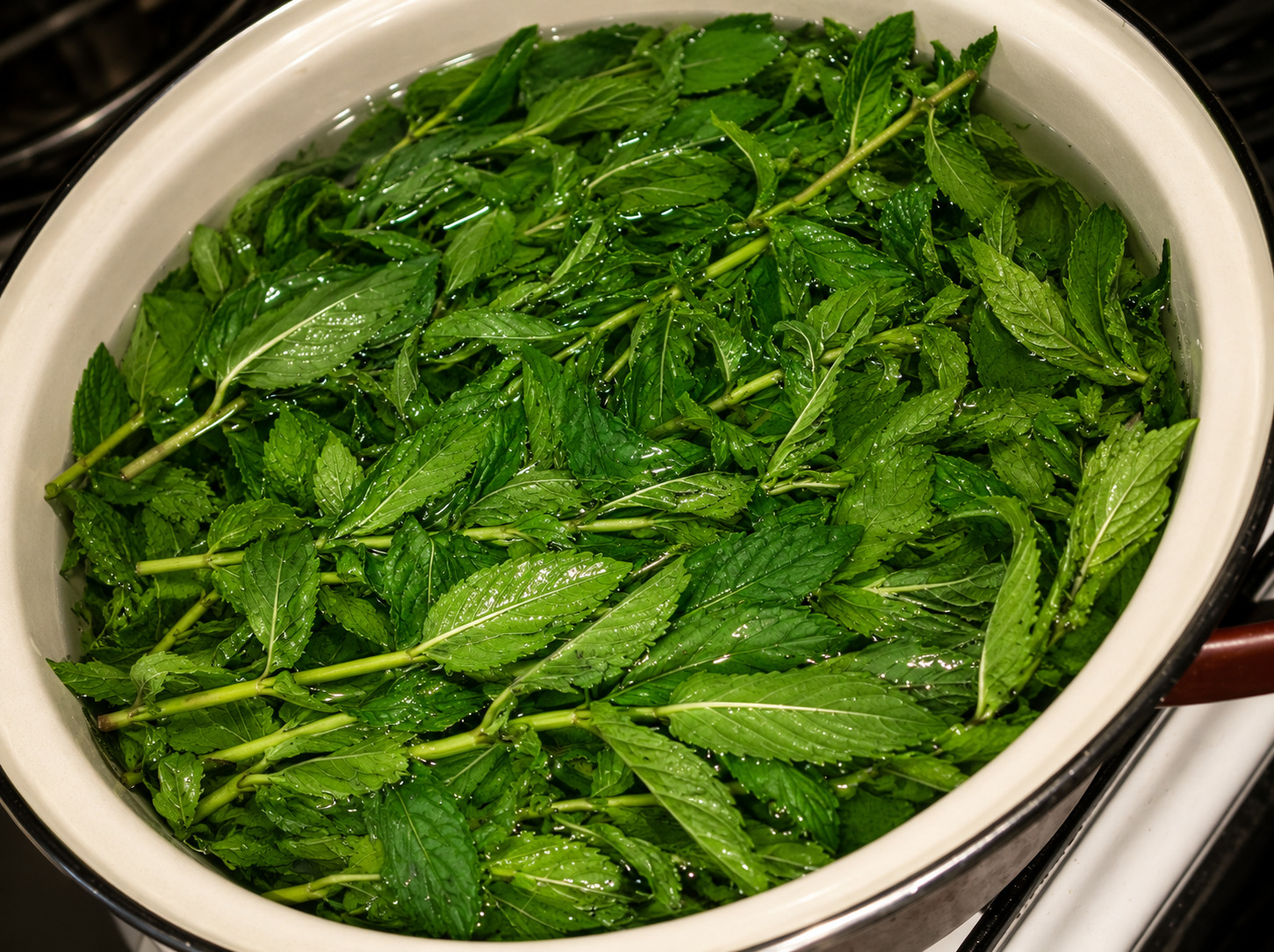 Sirop de menta cu miere