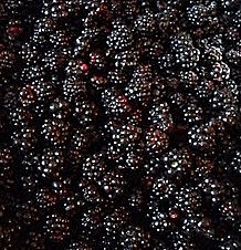 Dulceata de mure cu vanilie