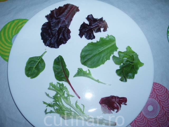 Salata de frunze tinere