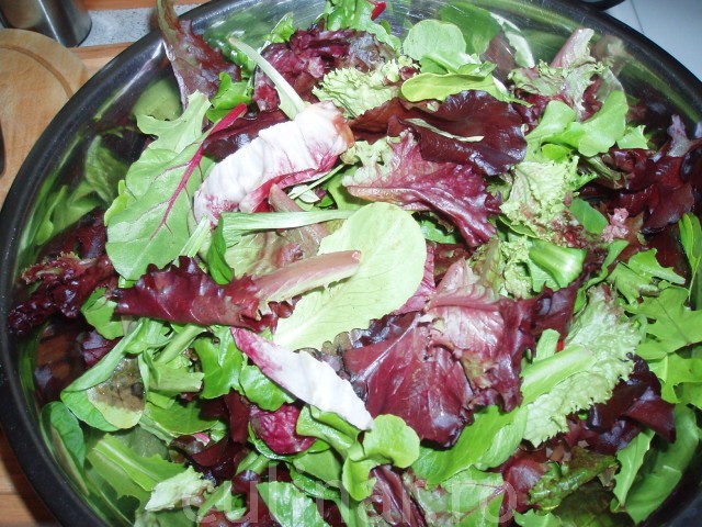 Salata de frunze tinere