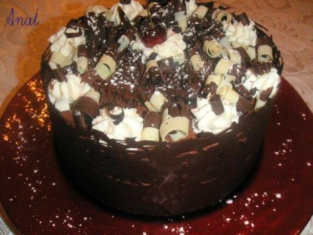 Tort Foret noire (Tort Padurea Neagra)