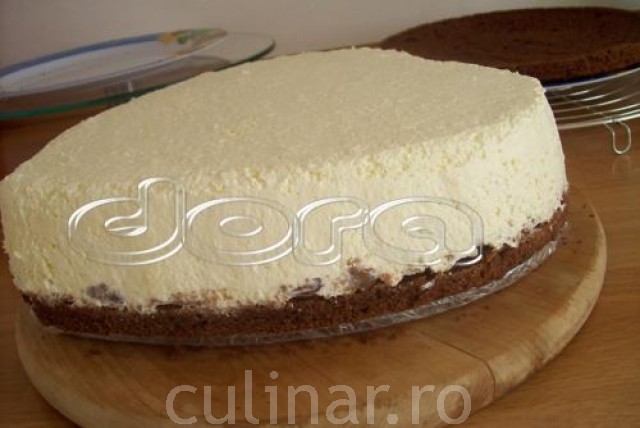 Tort Silvia