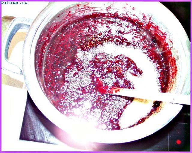 Dulceata din fructe de soc