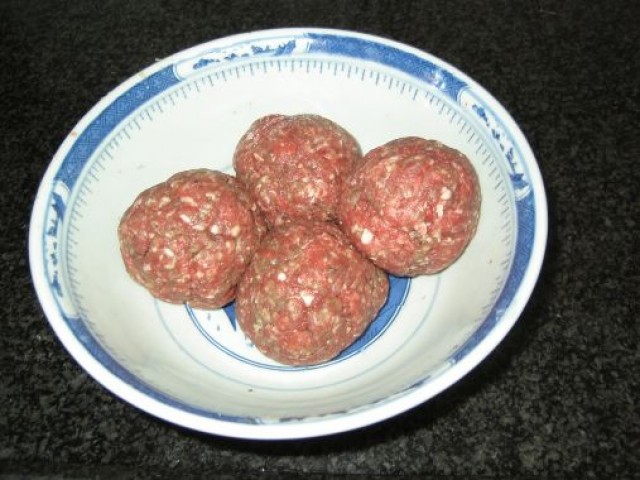 Inca un fel de hamburger