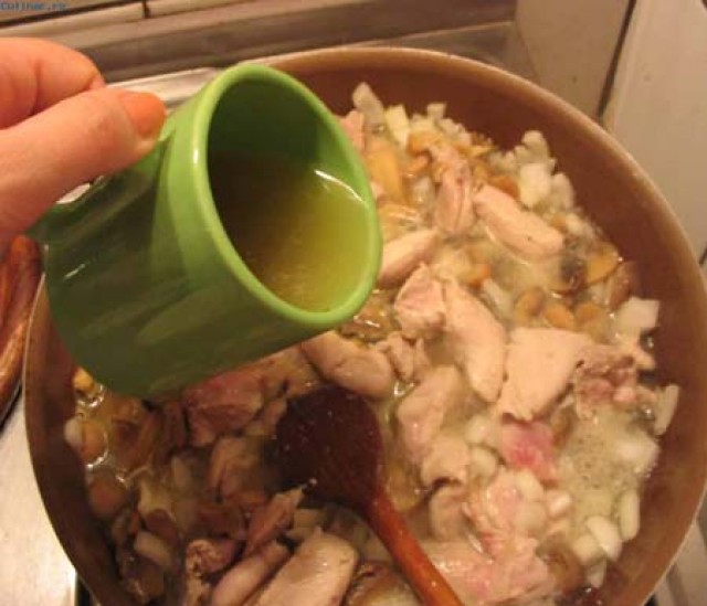 Ragu de pui cu ciuperci