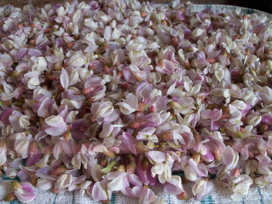 Dulceata din flori de salcam roz