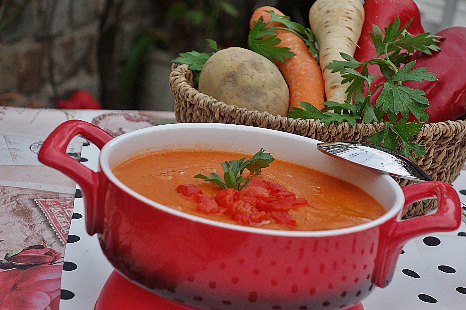 Supa crema de legume si ardei copt