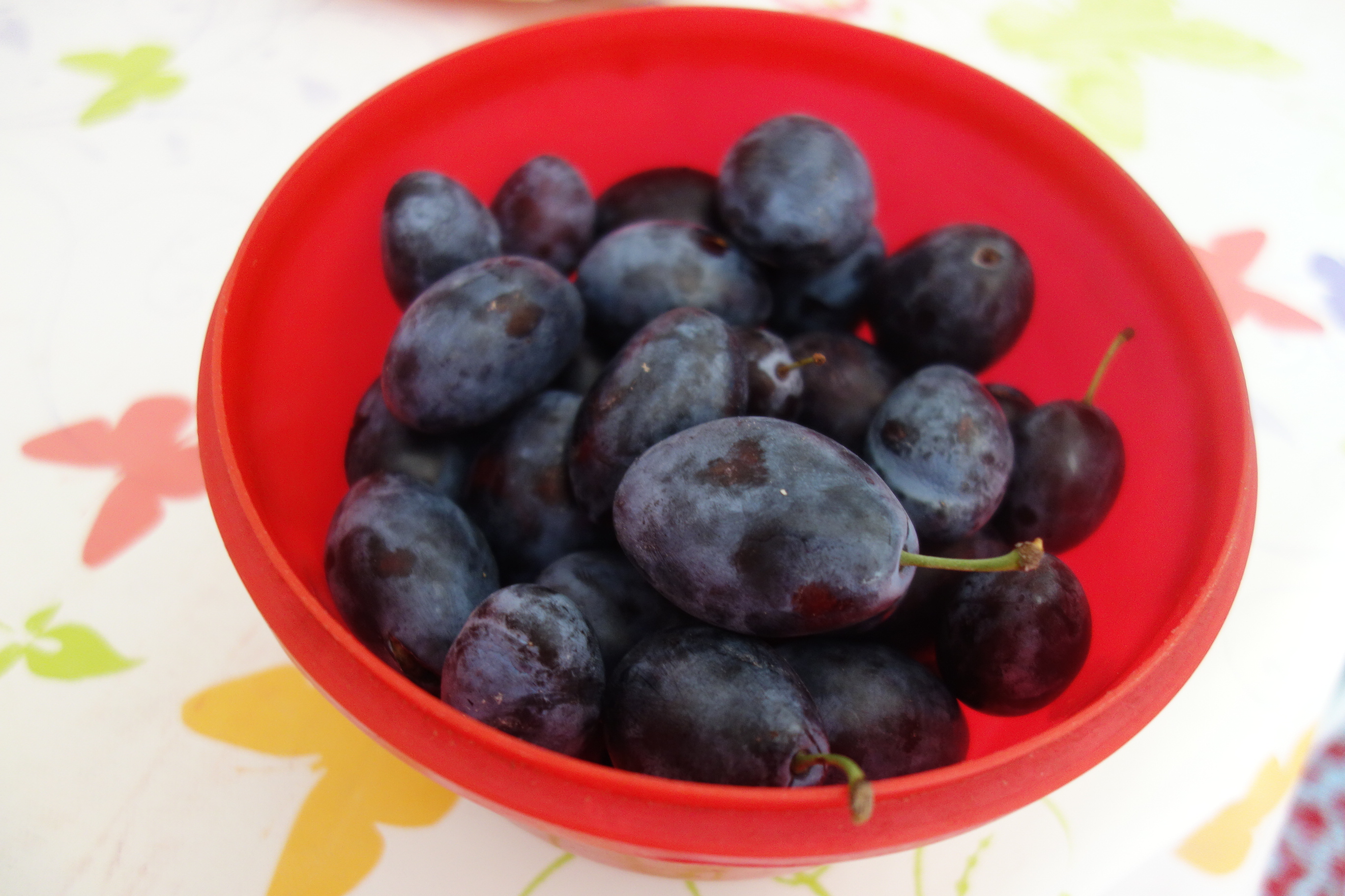 Dulceata bunicii ( de prune cu nuci)