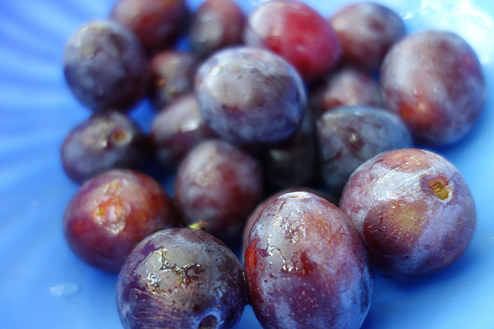 Prune marinate cu usturoi