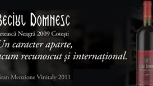 Trei vinuri Vincon premiate la Vinitaly 2011