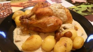 Coquelet de Bretagne - Franta