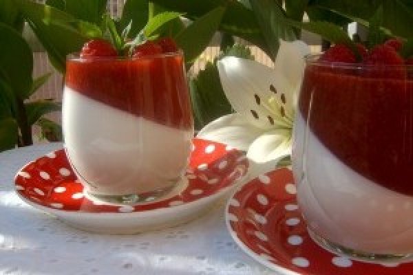 Panna cotta cu capsuni