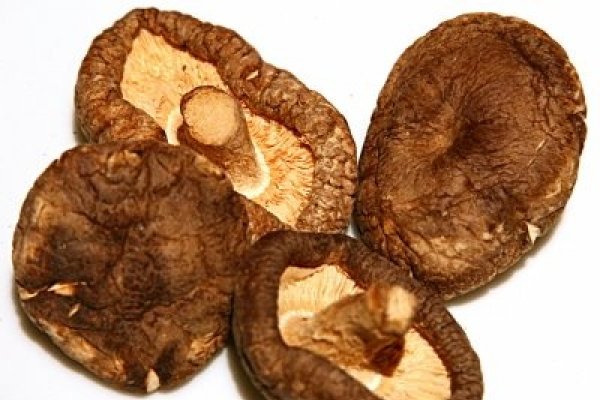 Ciuperca shiitake
