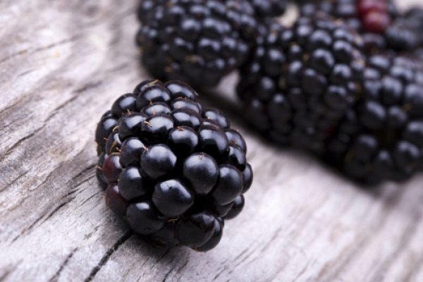 Murele: medicamentele naturale