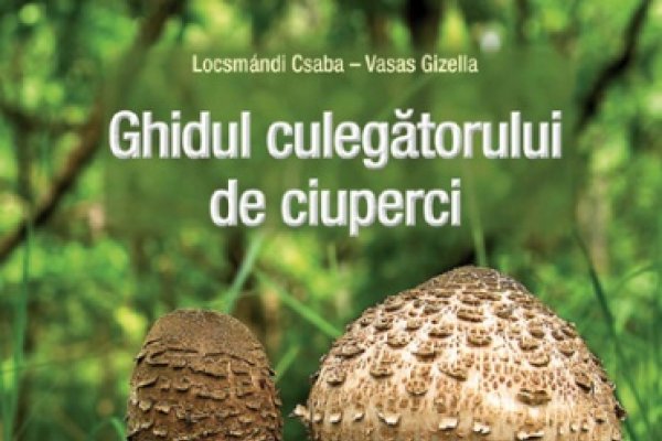 Unde si cand culegem ciupercile?