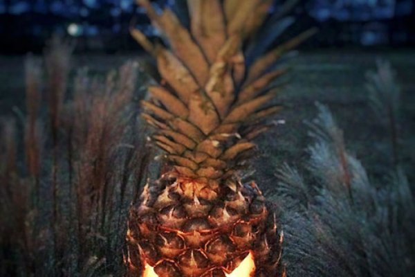 Noua moda de Halloween 2016 - ananas in loc de dovleac