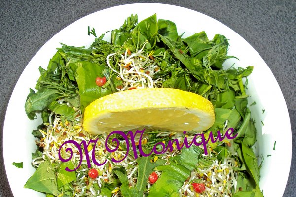 Salata din leurda, germeni de lucerna si chimen dulce